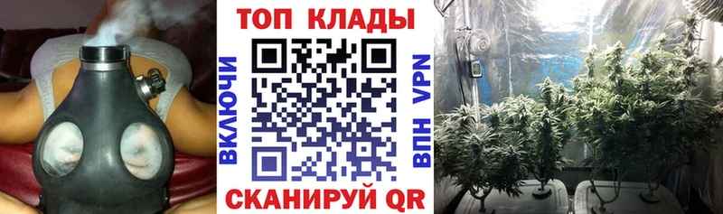 Где продают наркотики Шатура Бошки Шишки Псилоцибиновые грибы COCAIN СК Гашиш Мефедрон