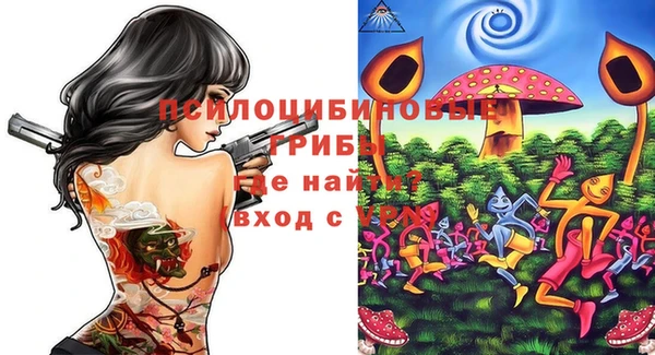 спиды Алзамай
