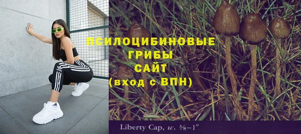 спиды Алзамай