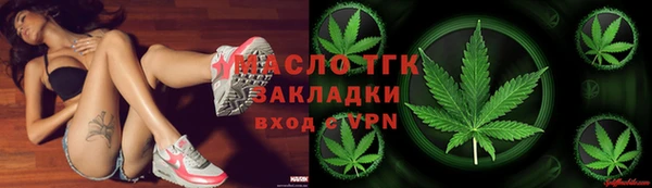 индика Новокубанск