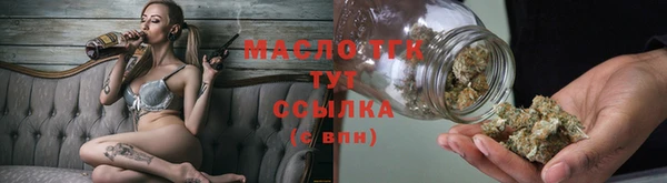 стаф Новодвинск