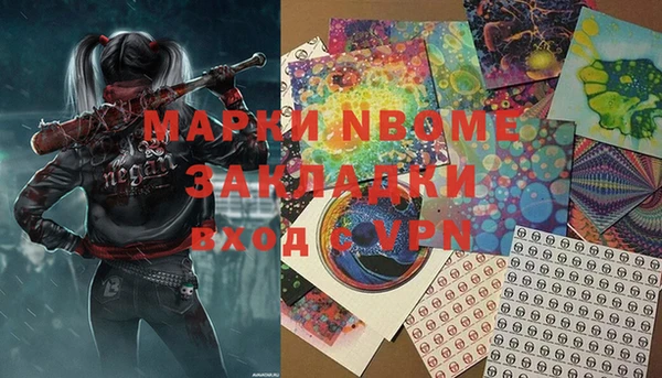 индика Новокубанск