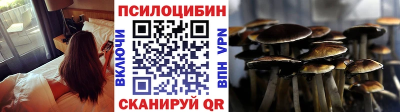 Галлюциногенные грибы MAGIC MUSHROOMS  цены наркотик  hydra маркетплейс  Шатура 