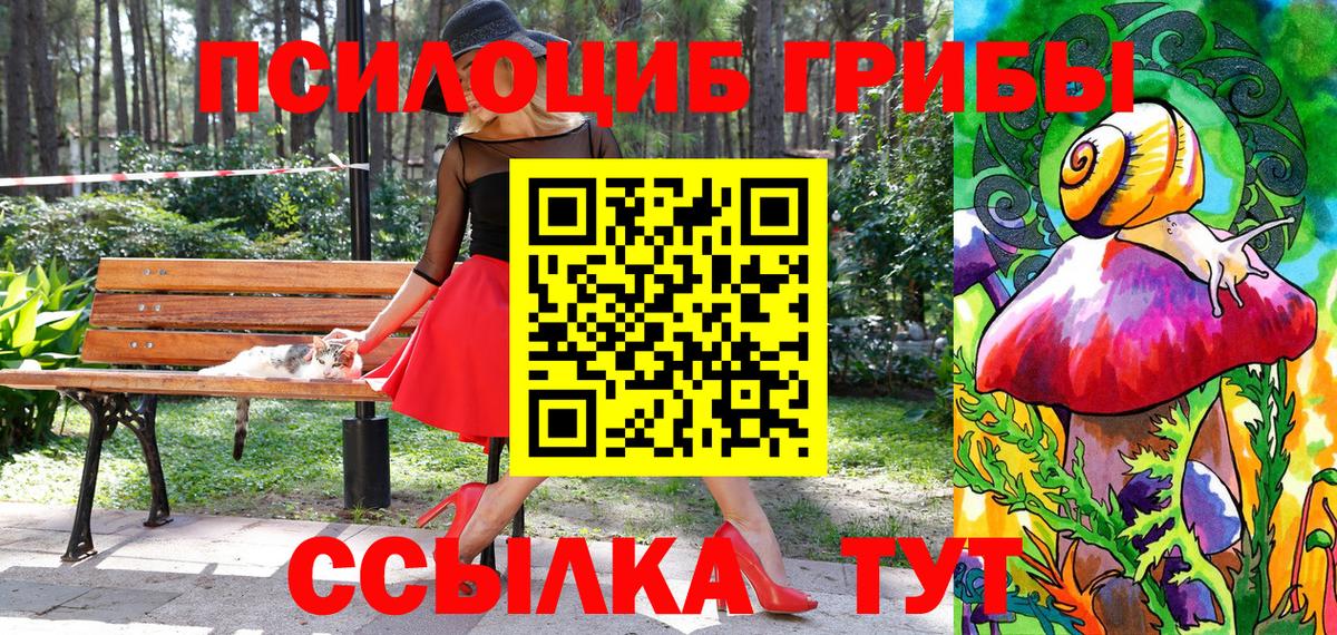 Шатура  Галлюциногенные грибы Psilocybine cubensis  Вход с VPN 