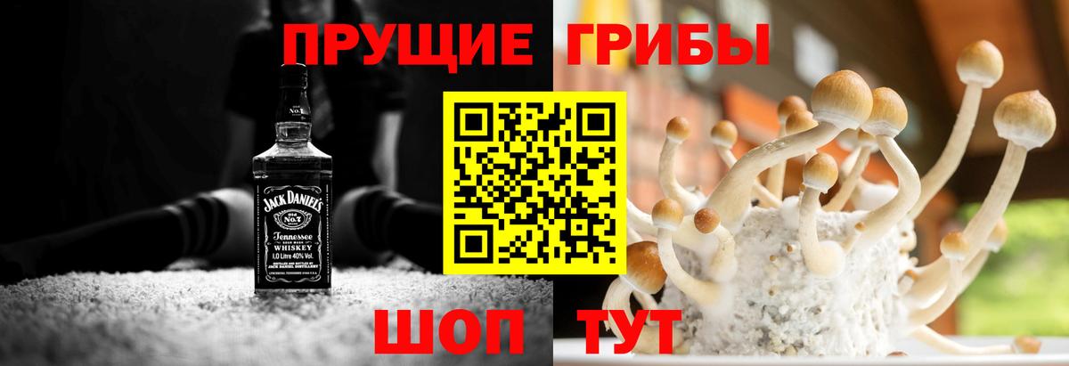 Галлюциногенные грибы Psilocybe Шатура